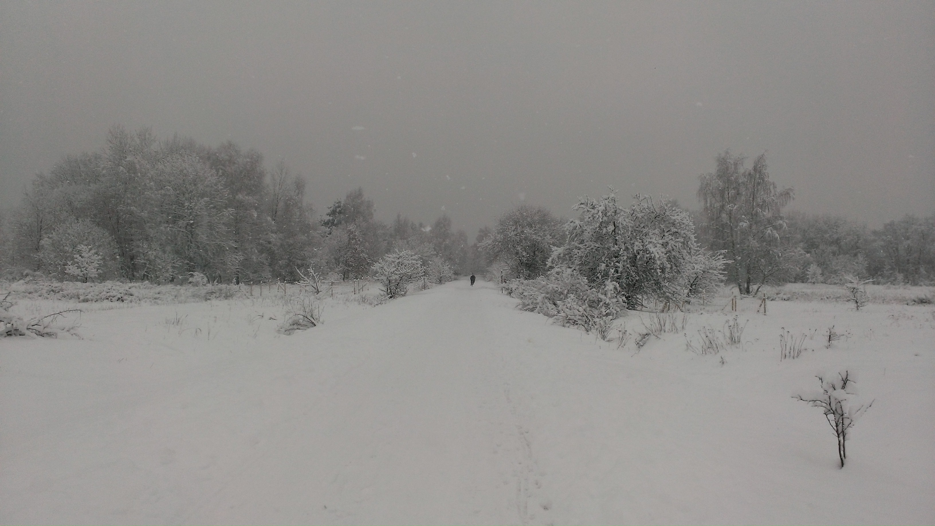 WP_20130225_013 | Hard- & Softwareblog
